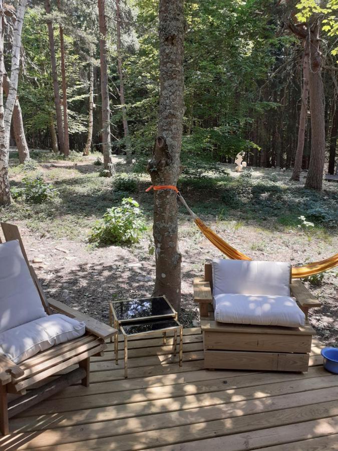 Chalet Libellule Domaine De La Mamounette Champclause Kültér fotó