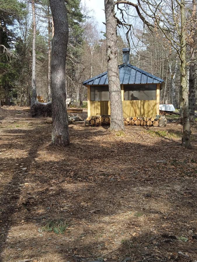 Chalet Libellule Domaine De La Mamounette Champclause Kültér fotó